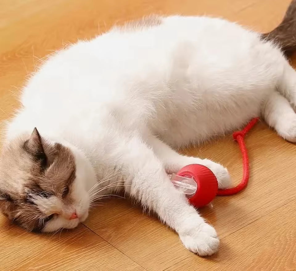 Smart Rolling Ball Toy