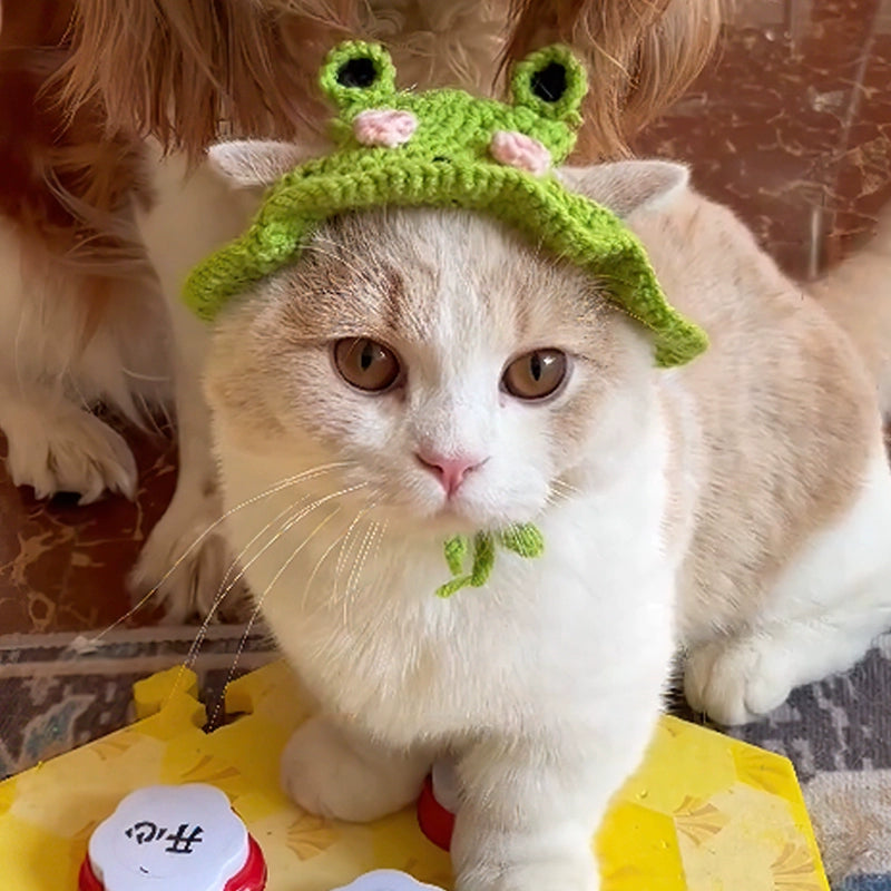 Crochet Frog Hat For Cat Cute Funny Headdress Cap