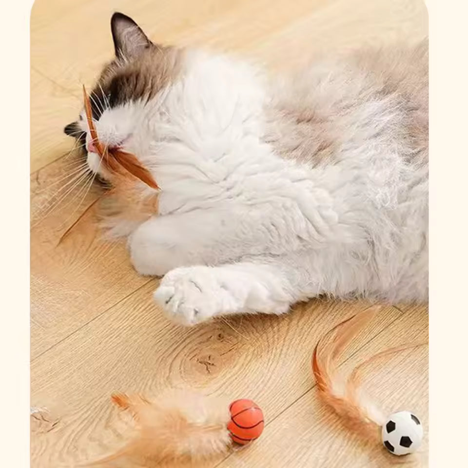 Feather Bouncy Ball Cat Toy