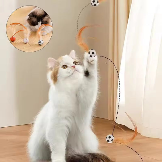 Feather Bouncy Ball Cat Toy