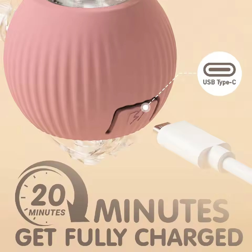 Smart Rolling Ball Toy