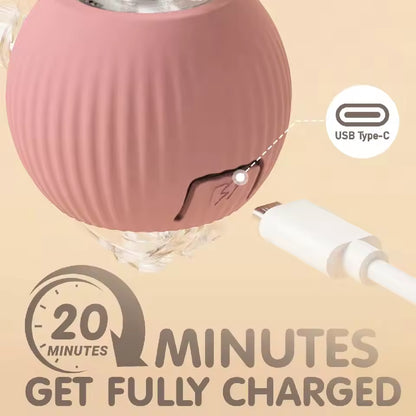 Smart Rolling Ball Toy