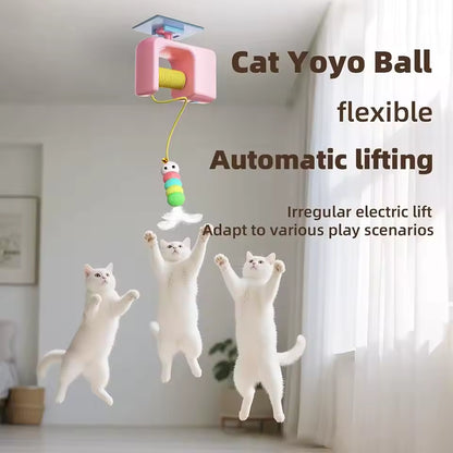 Cat Hanging Door Yo-Yo Toy