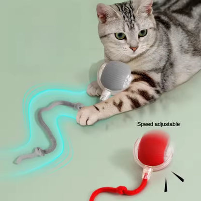 Smart Rolling Ball Toy