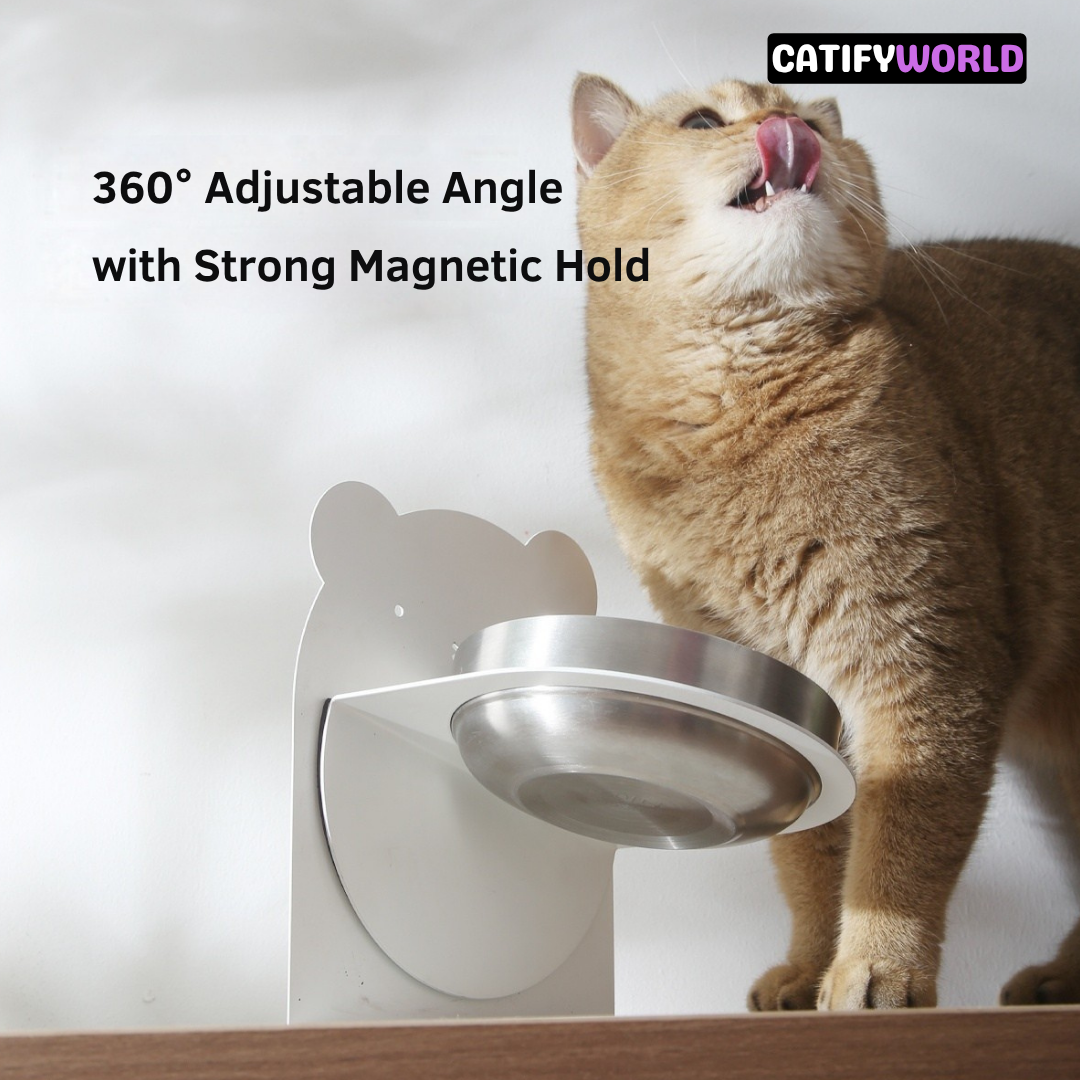 TiltEase Magnetic Stand Cat Bowl Stainless Steel