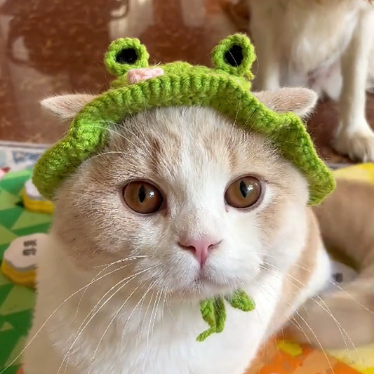 Crochet  Frog Hat For Cat Cute Funny Headdress Cap