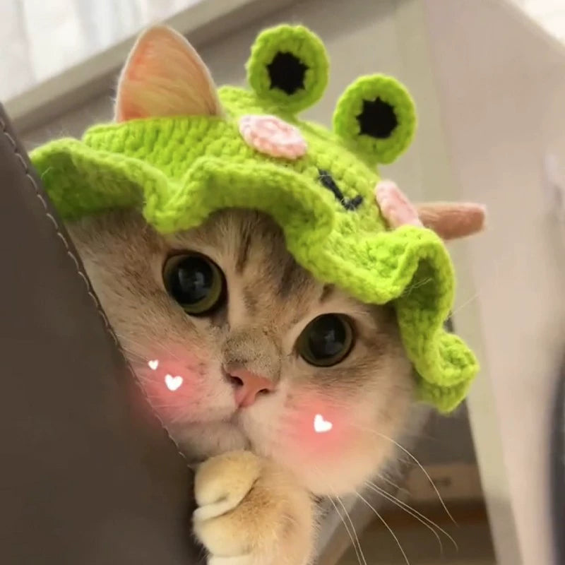 Crochet  Frog Hat For Cat Cute Funny Headdress Cap