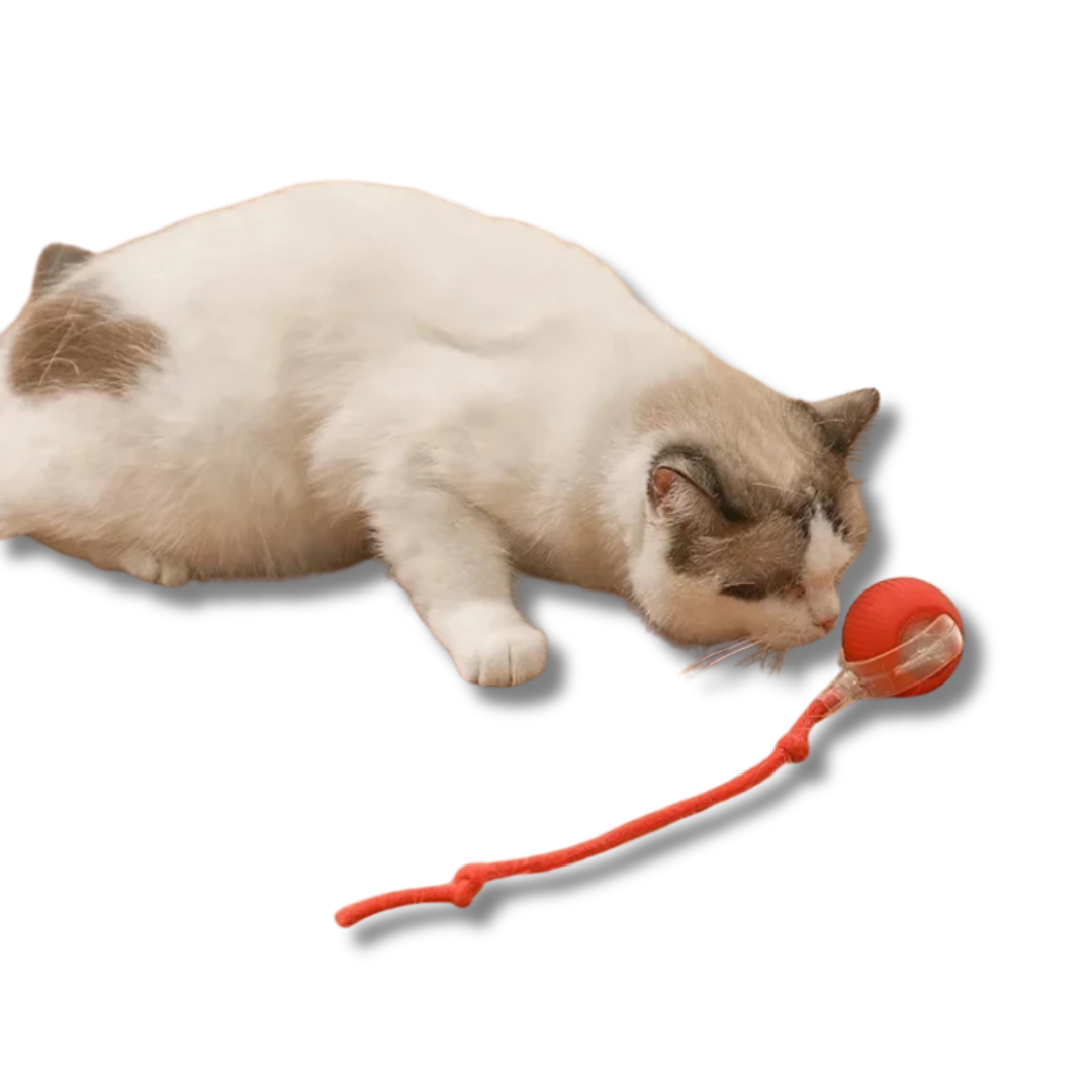 Smart Rolling Ball Toy