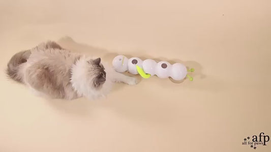AFP Smart Motion Worm Teaser  Automatic Interactive Cat Toy