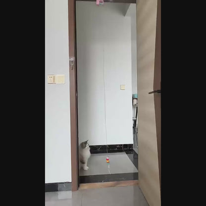 Cat Hanging Door Yo-Yo Toy