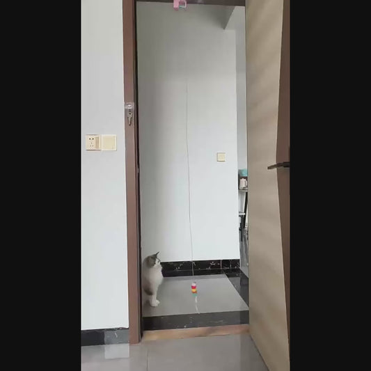 Cat Hanging Door Yo-Yo Toy