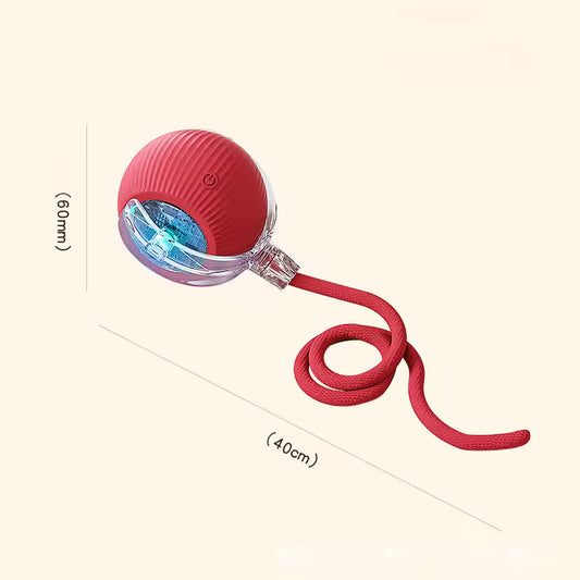 Smart Rolling Ball Toy