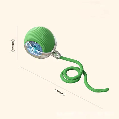 Smart Rolling Ball Toy
